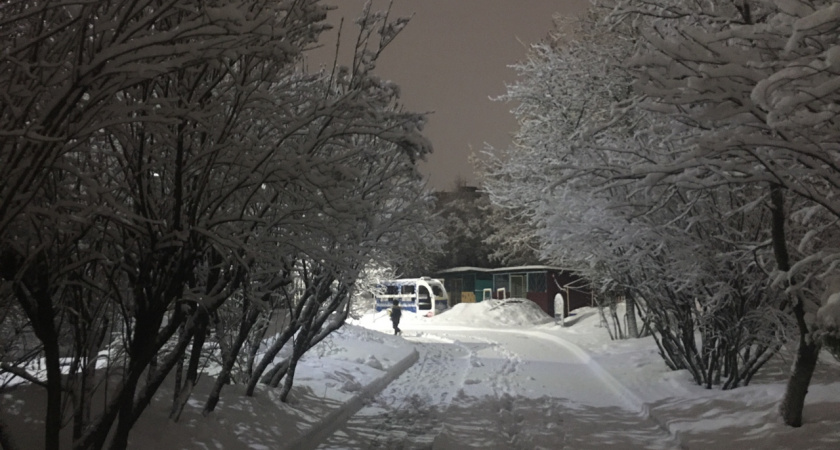 Самая холодная зима за 2,5 века: синоптики предупредили об аномальных морозах до –40 и снежных бурях