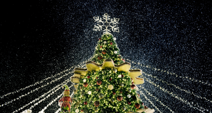 В Ельце и Липецке установили новогоднюю елку