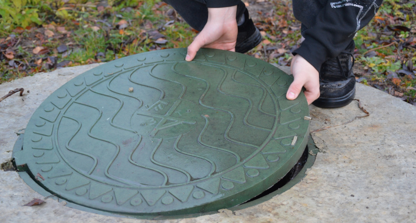 Деревья помогут решить проблему заполнения выгребной ямы: вот что нужно сделать