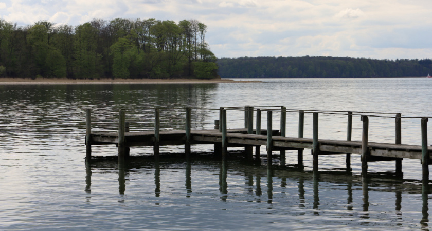 Липецкие власти продают участок в Подмосковье за 600 миллионов