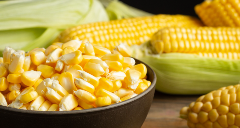 Липецкие фермеры собрали рекордный урожай зерна