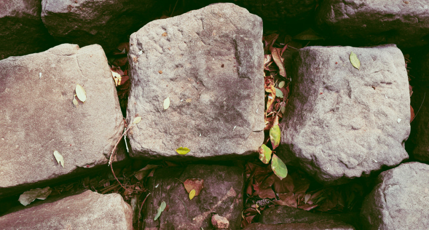 В Ельце подростки погромили клумбы в центральном сквере