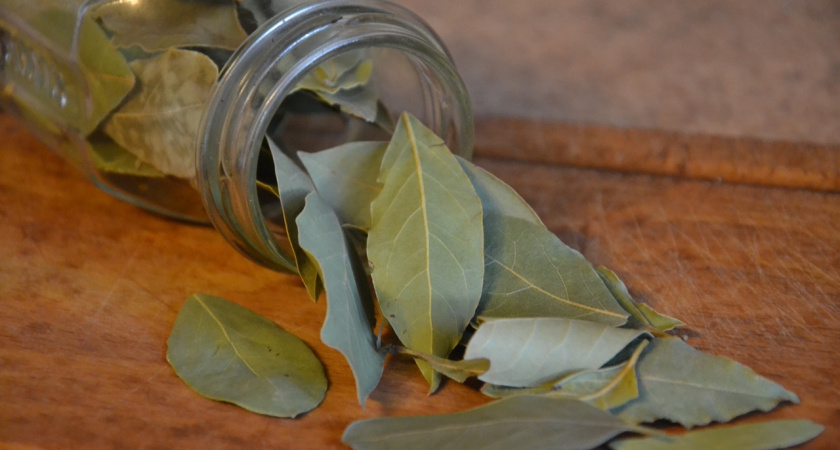 Вот почему советские хозяйки клали в сахар лавровый лист: полезная хитрость, о которой мало кто знает