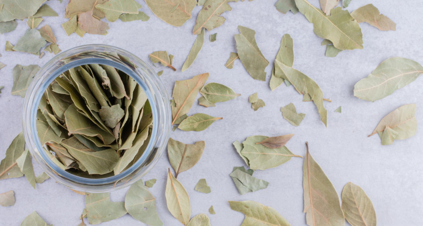 Беру три лавровых листа и в наволочку: совет опытной хозяйки - и еще 4 хитрости с лаврушкой для дома