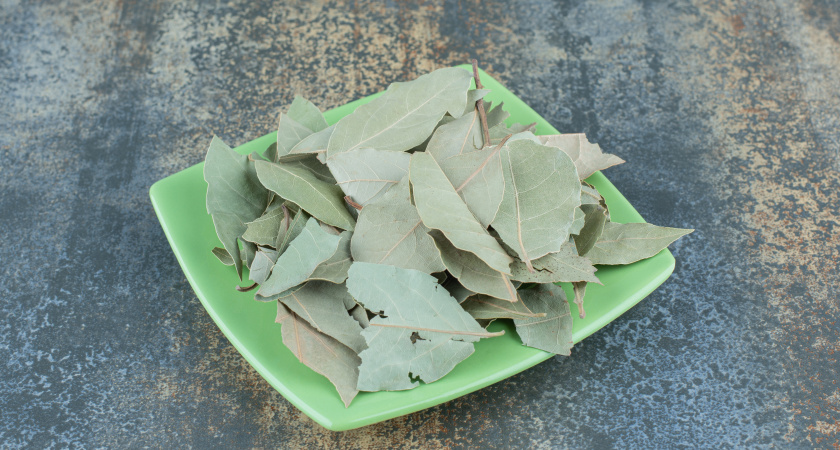 Секрет цветоводов: как лавровый лист спасает комнатные растения