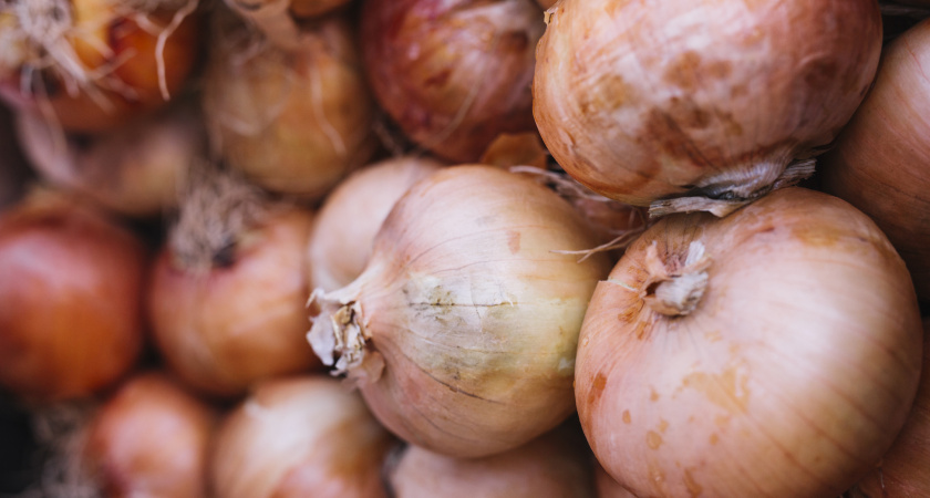 Раньше лук всегда портился: теперь нашла способ сохранить его свежим надолго