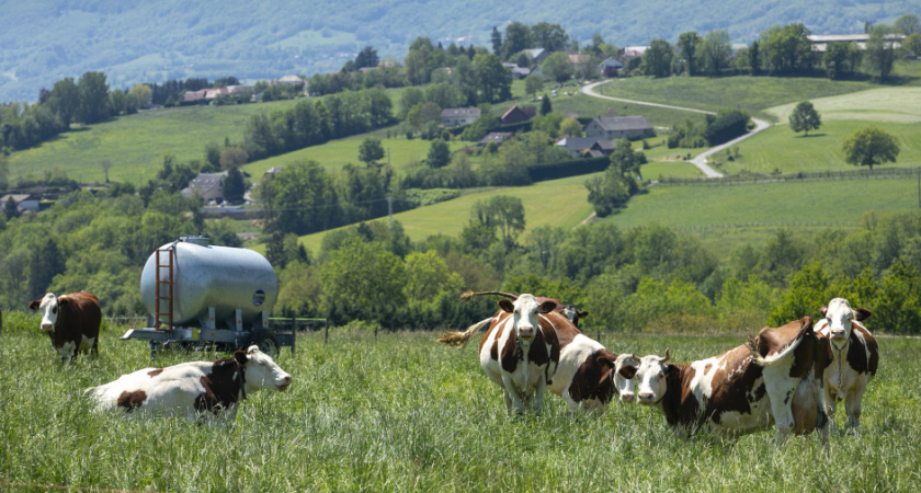 Липецкие фермеры получат 18 миллионов на развитие генетики скота