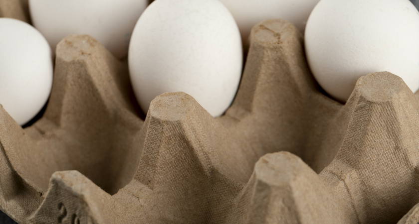 Птицефабрика изнутри: почему сотрудники обходят стороной самые крупные яйца