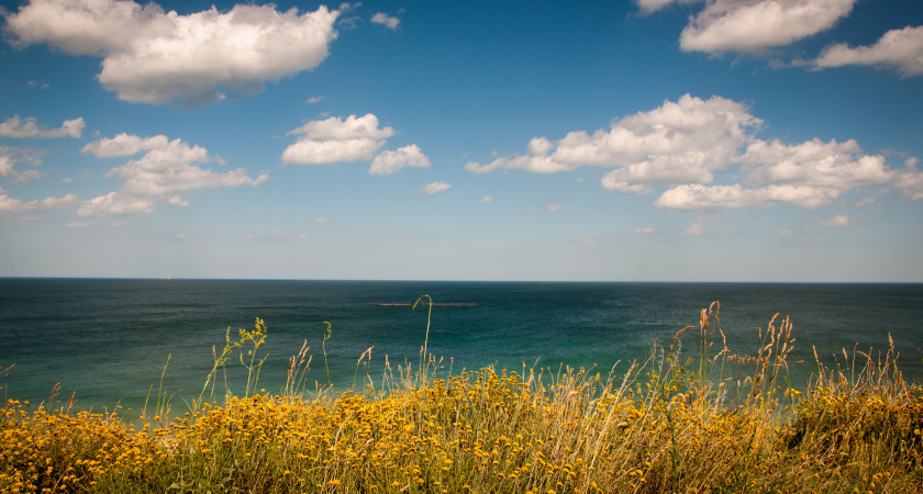 Туристический магнит на Азове: почему путешественники голосуют за атмосферу, а не только за пляж