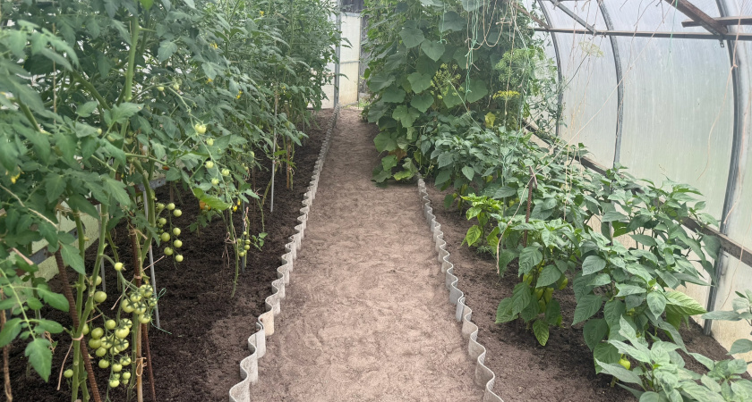 Подсмотрел, как хитрые китайцы строят теплые теплицы и сделал также: второй год радуюсь смекалке - внутри жара даже при морозах -50 С