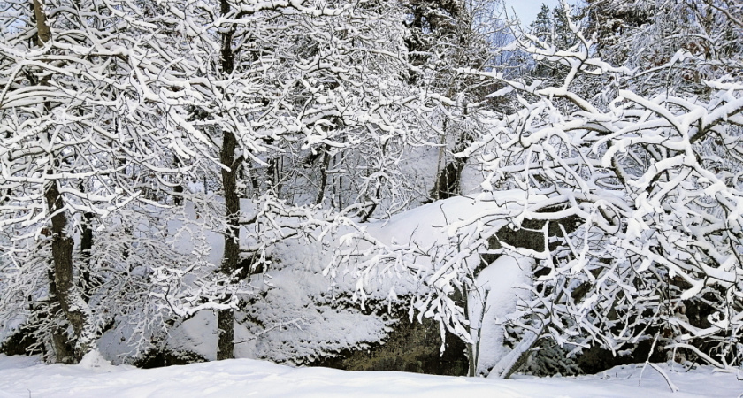 Липчан ждет последний сухой день перед снегопадами