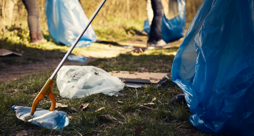 Липчане очистили 800 километров берегов рек и озер от мусора