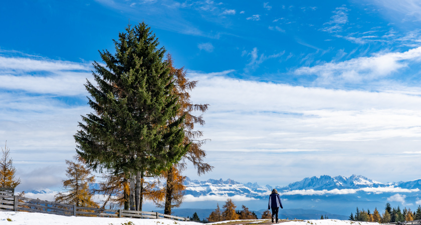Когда елка украшена мандаринами, а горы молчат: неочевидная Абхазия для новогодних каникул