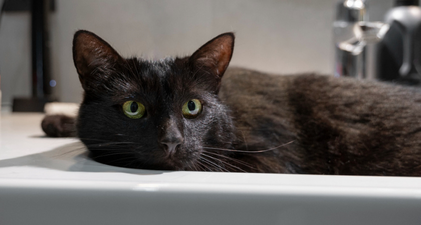 Девять улиц остались без холодной воды до вечера