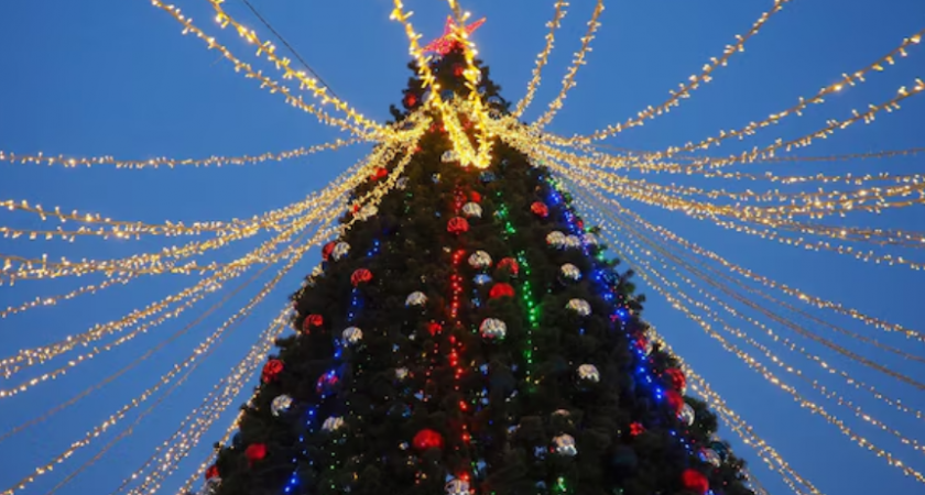 Главная елка региона зажглась на площади Петра Великого