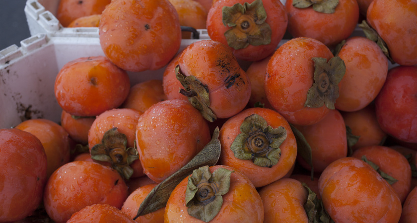 Терпкость не будет портить настроение: проверяйте хурму таким способом — он реально работает