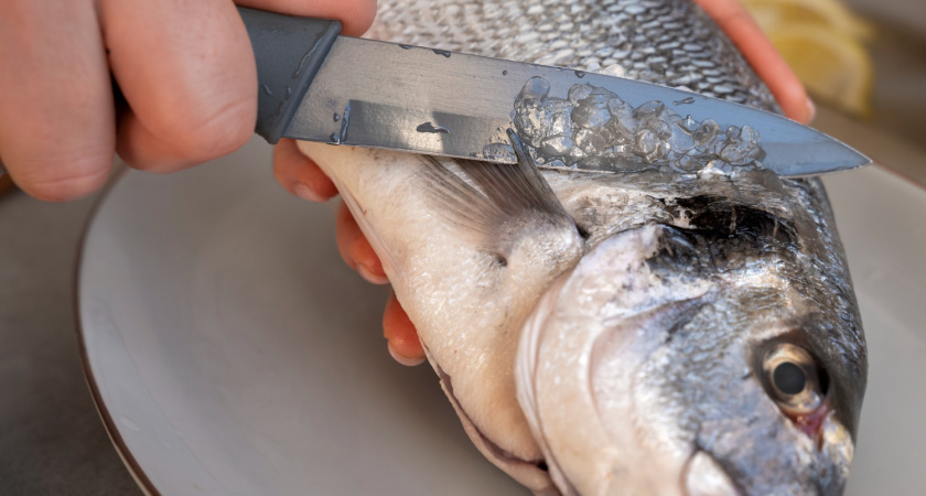 Хватит кипятка: вот как легко и быстро очистить рыбу от чешуи – метод опытных рыбаков