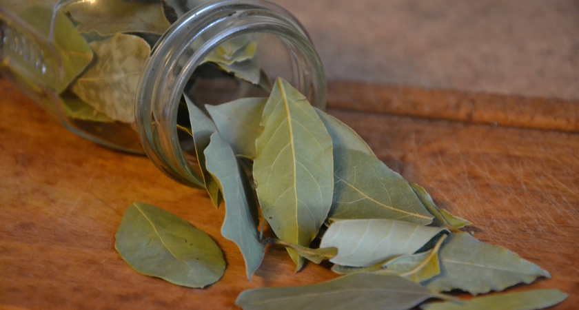 Батарея вместо диффузора: как лавровый лист создает уютную атмосферу в доме зимой