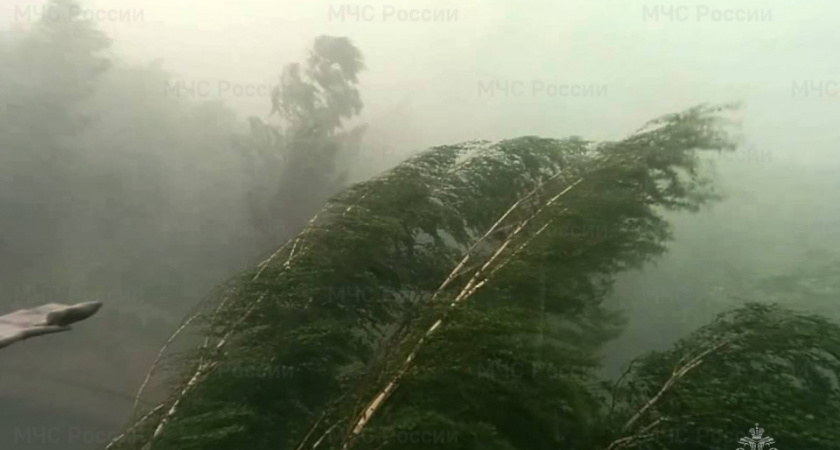 Ураганный ветер повалил деревья и повредил сети в Липецке