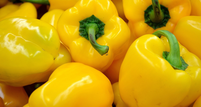 Холодное лето — не приговор: 5 сортов сладкого перца, которые дадут урожай в любых условиях