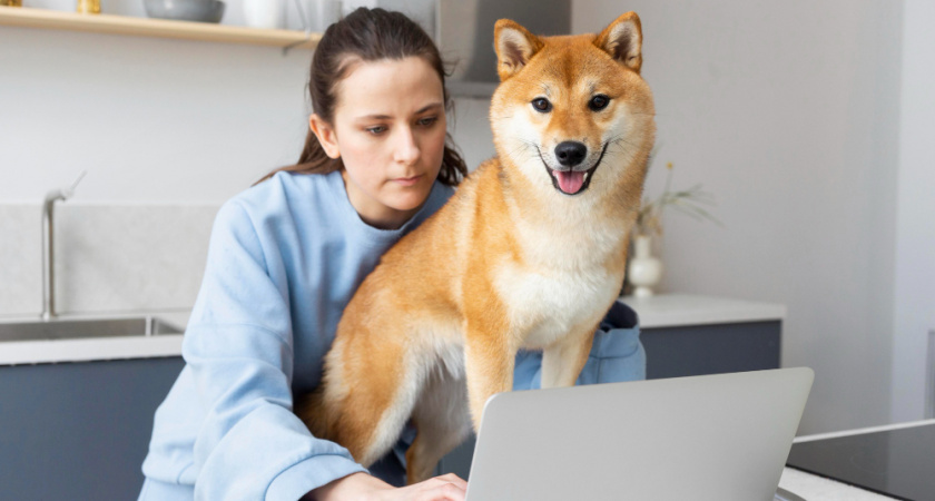 Липчане смогут записать питомца к ветеринару через Госуслуги