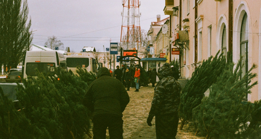 Елочные базары опустели перед Новым годом