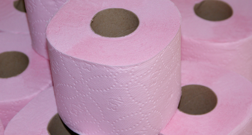 Что можно сделать из картонных втулок: неожиданные идеи для дома и творчества - запомните раз и навсегда