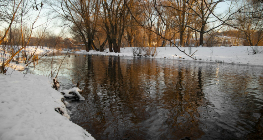 Липецкие экологи установили границы 80% водоемов региона