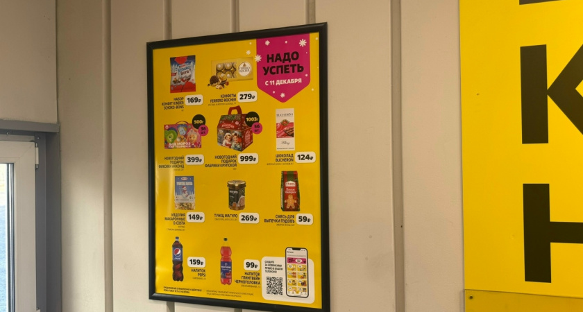 Увидела в «Чижике» новогоднюю посуду и одеяла — решила проверить, получится ли найти стоящие подарки