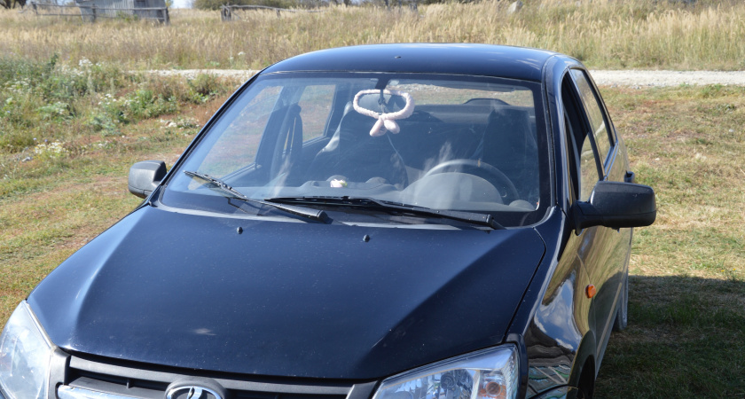 Вот почему инспектор ГИБДД не любит, когда в протоколе пишут «Не согласен»: как не поддаться на уговоры