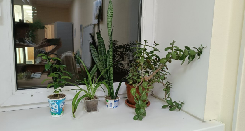 Устала от «плачущих» окон и поняла, как с ними бороться: 6 работающих способов