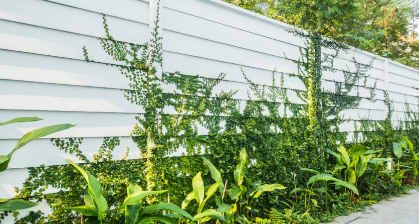 Что поставить вместо профлиста: 5 лучших идей для современного забора - красиво, надежно, по СНиП