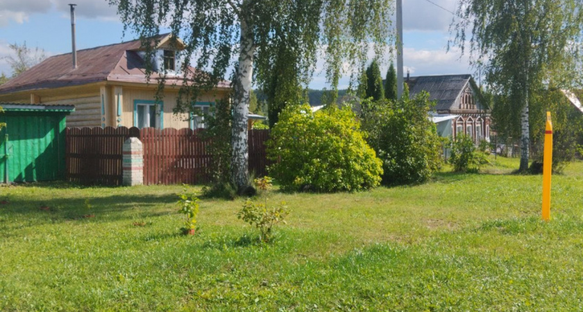 Переехали жить в деревню и только через год осознали, почему в деревнях больше не живут хозяйством – причина все время была на виду