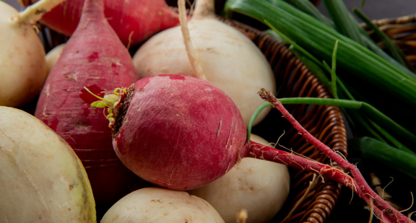 Липецкие фермеры собрали рекордный урожай свёклы и зерна