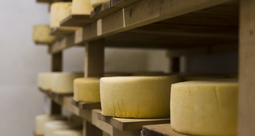 Забудьте про моцареллу: эксперты обозначили настоящего лидера среди полезных сыров