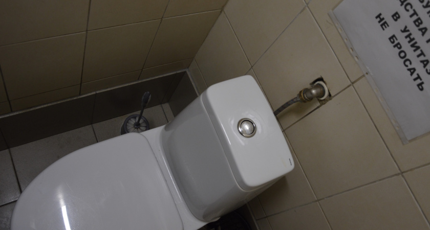 Почему японцы садятся на унитаз лицом вперед: причина поражает — но логика в этом есть