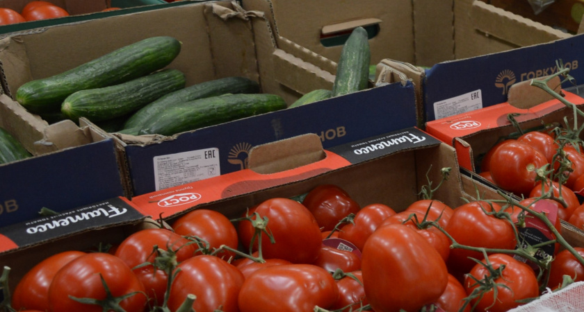 В Роспотребнадзоре объяснили, как правильно мыть овощи и фрукты, чтобы на самом деле смыть химикаты