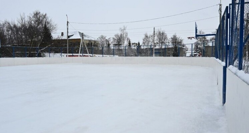 Каток для семейного отдыха открылся в Липецкой области