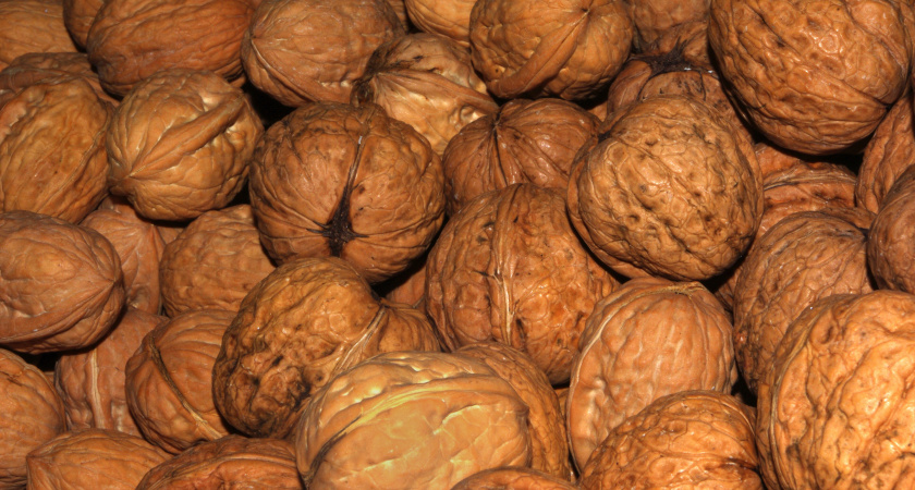 Больше не чищу грецкие орехи - использую бутылку: легко использовать - ядра целые, никаких крошек и осколков