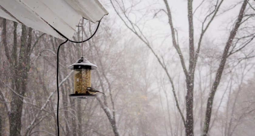 Липчане попали под циклон "Фрэнсис" с дождем и гололедом