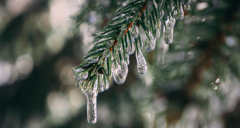 Ледяной дождь превратил дороги в каток