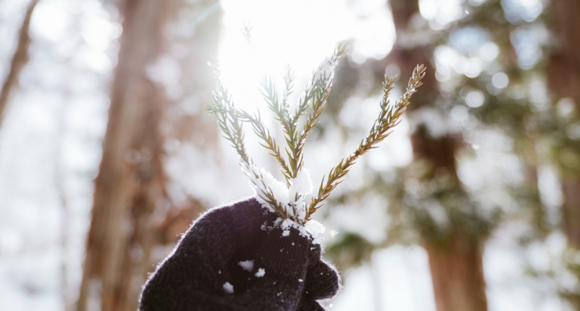 Областной центр вошел в пятерку самых грязных городов России