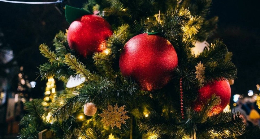 Выставку «Ёлки Липецкой земли» в Ельце продлили до 20 января