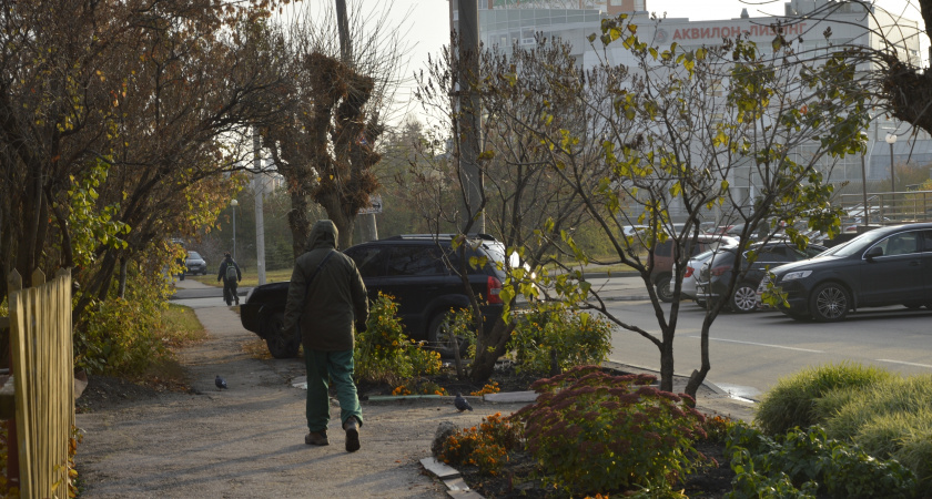 Забытый великан: древний город России, куда туристы почти не заглядывают, а зря