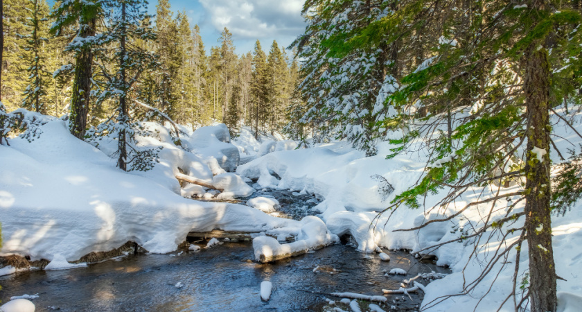 В липецком заповеднике объяснили скандал вокруг Галичьей горы