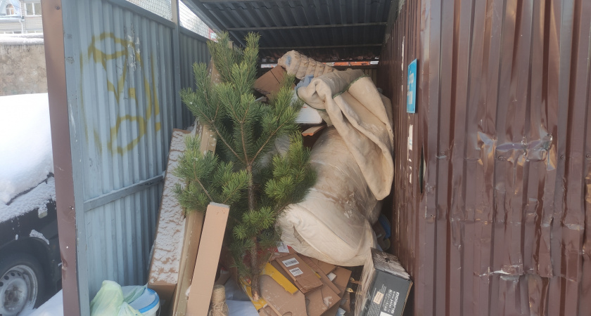 Когда убирать новогоднюю елку, чтобы не «вынести счастье» вместе с иголками: приметы и здравый смысл