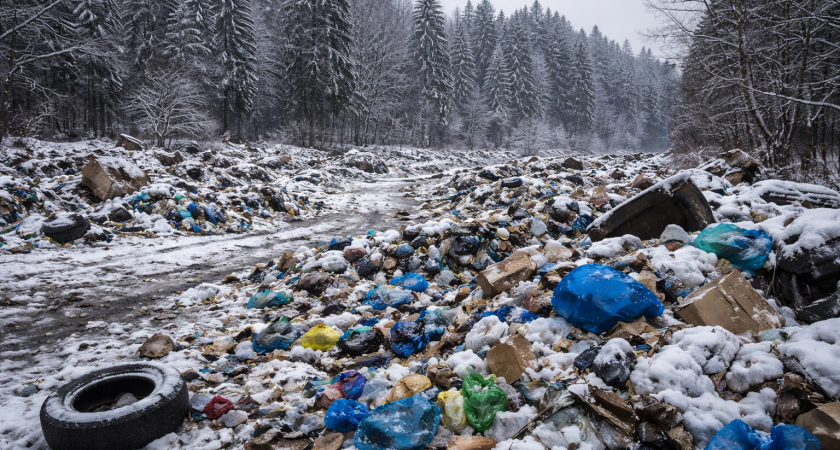 Ущерб природе за 2025 год вырос в четыре раза