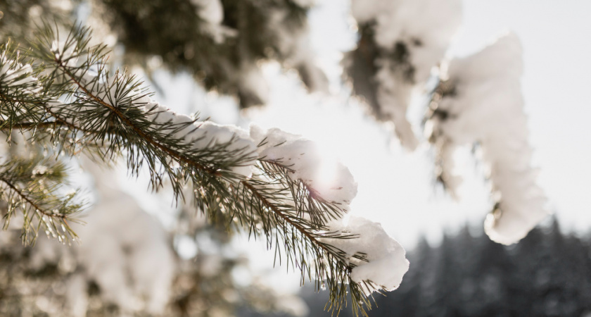 После 19 января в регионе начнется потепление