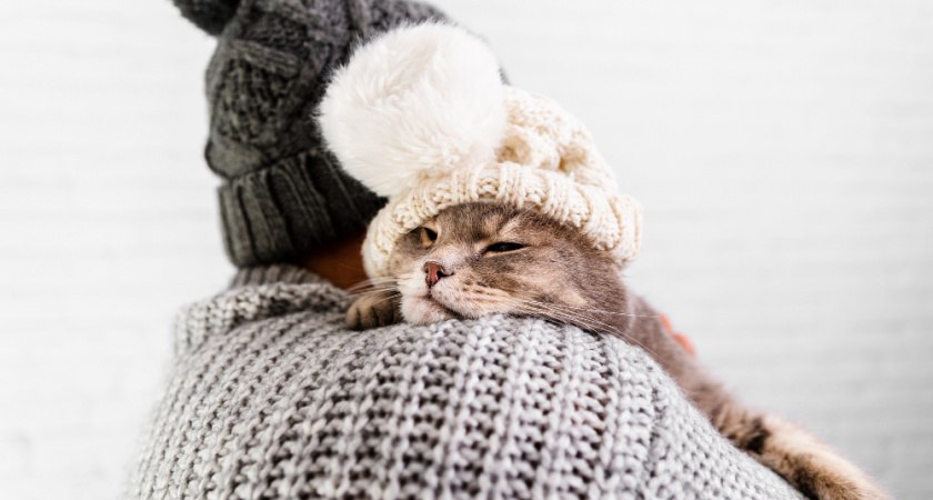 Морозы до -27 градусов накроют регион на трое суток