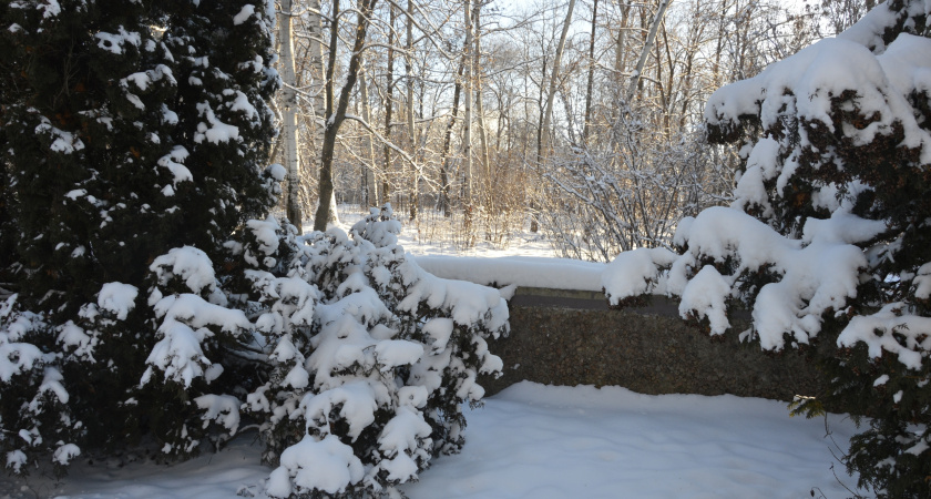 18 января в Липецкой области ожидаются морозы до -28